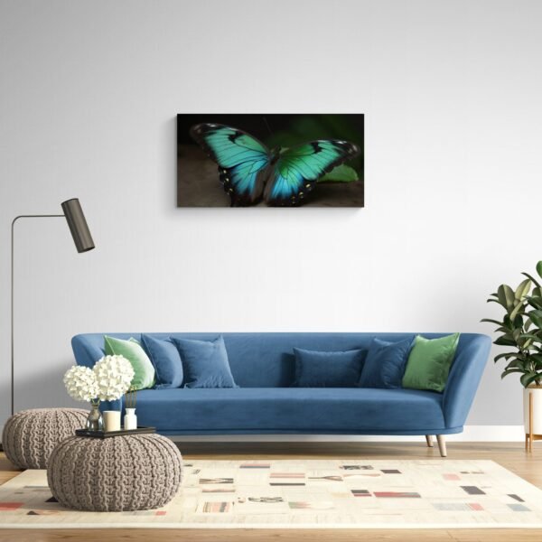 Butterfly Art Blue Green Colorful HD Photo Print - Nature's Beauty Wall Art Decor, Insect Photography, Home Decoration Canvas Vibrant