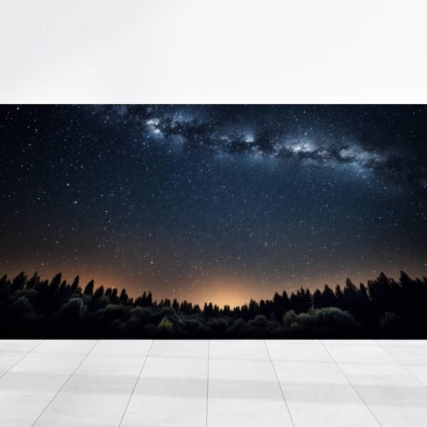 Milky Way Photo Dark Night Sky Stars Picture, Landscape Trees Forest Astrology Nature Artwork, Beautiful View Large Wall Art Poster Portrait
